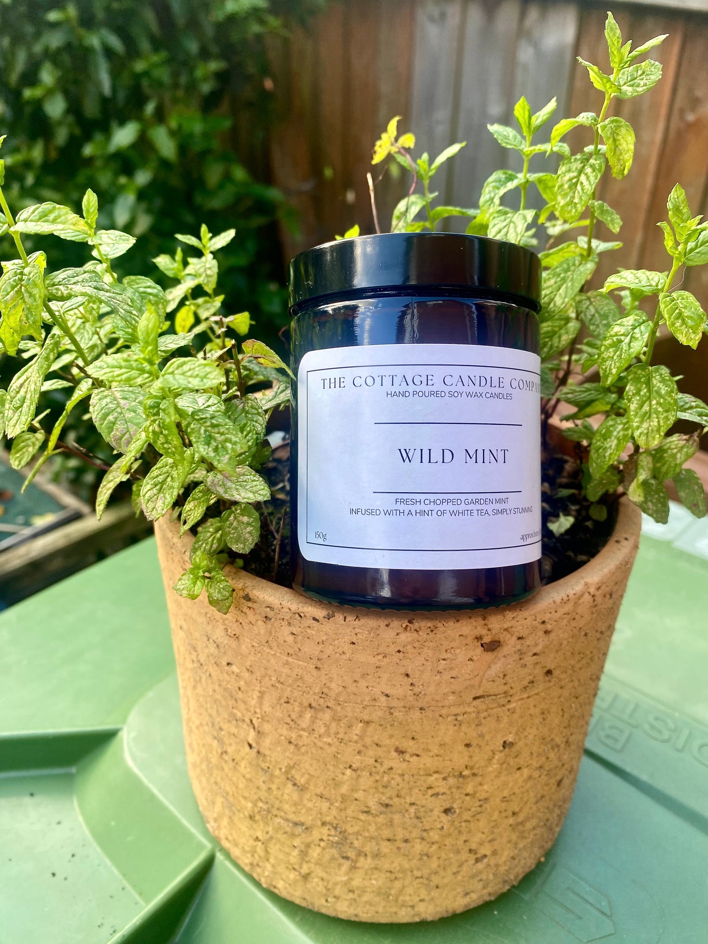 Wild Mint Candle