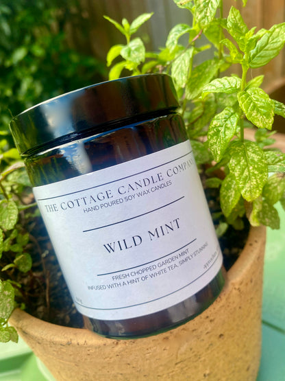 Wild Mint Candle